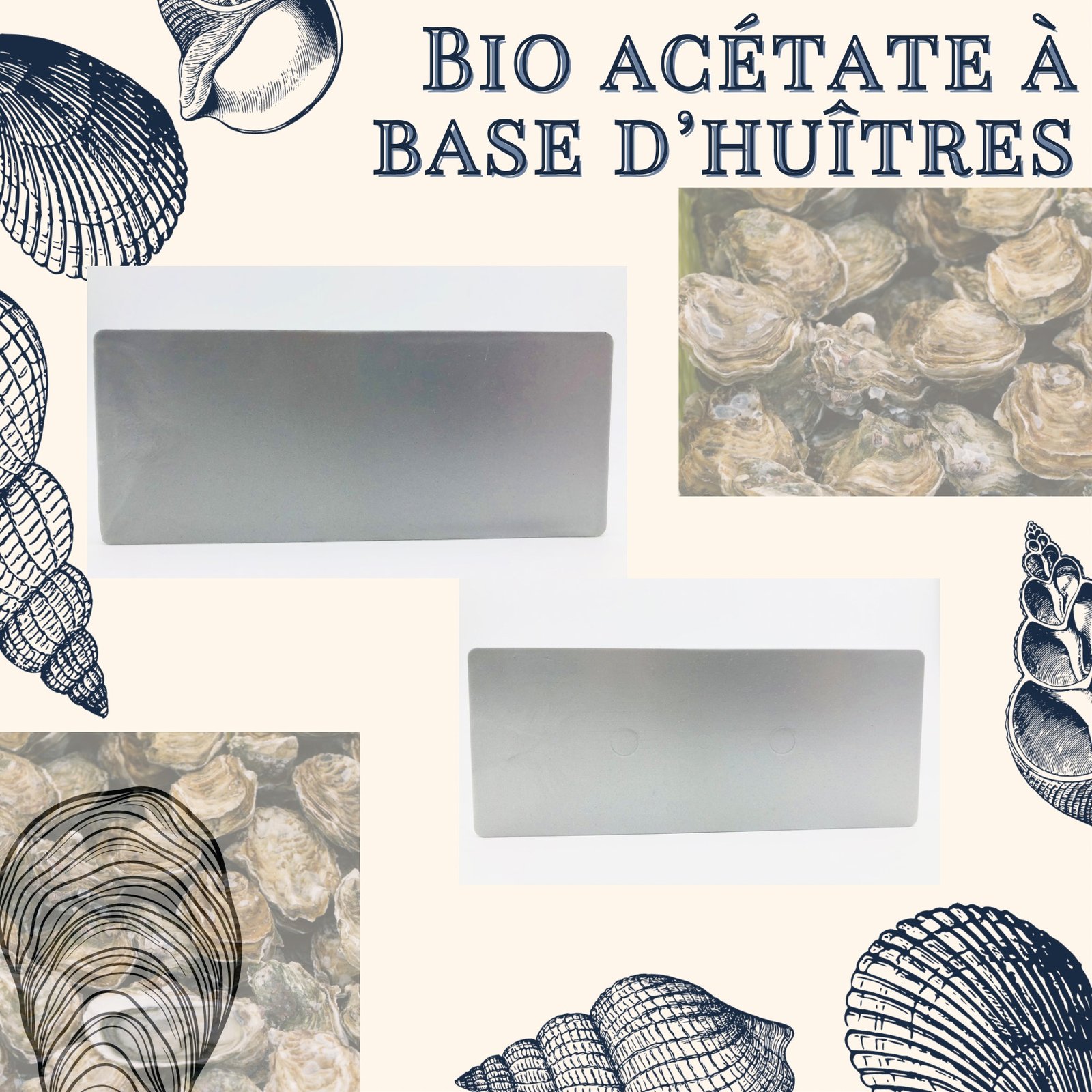bio acétate made in france coquillage ormeau