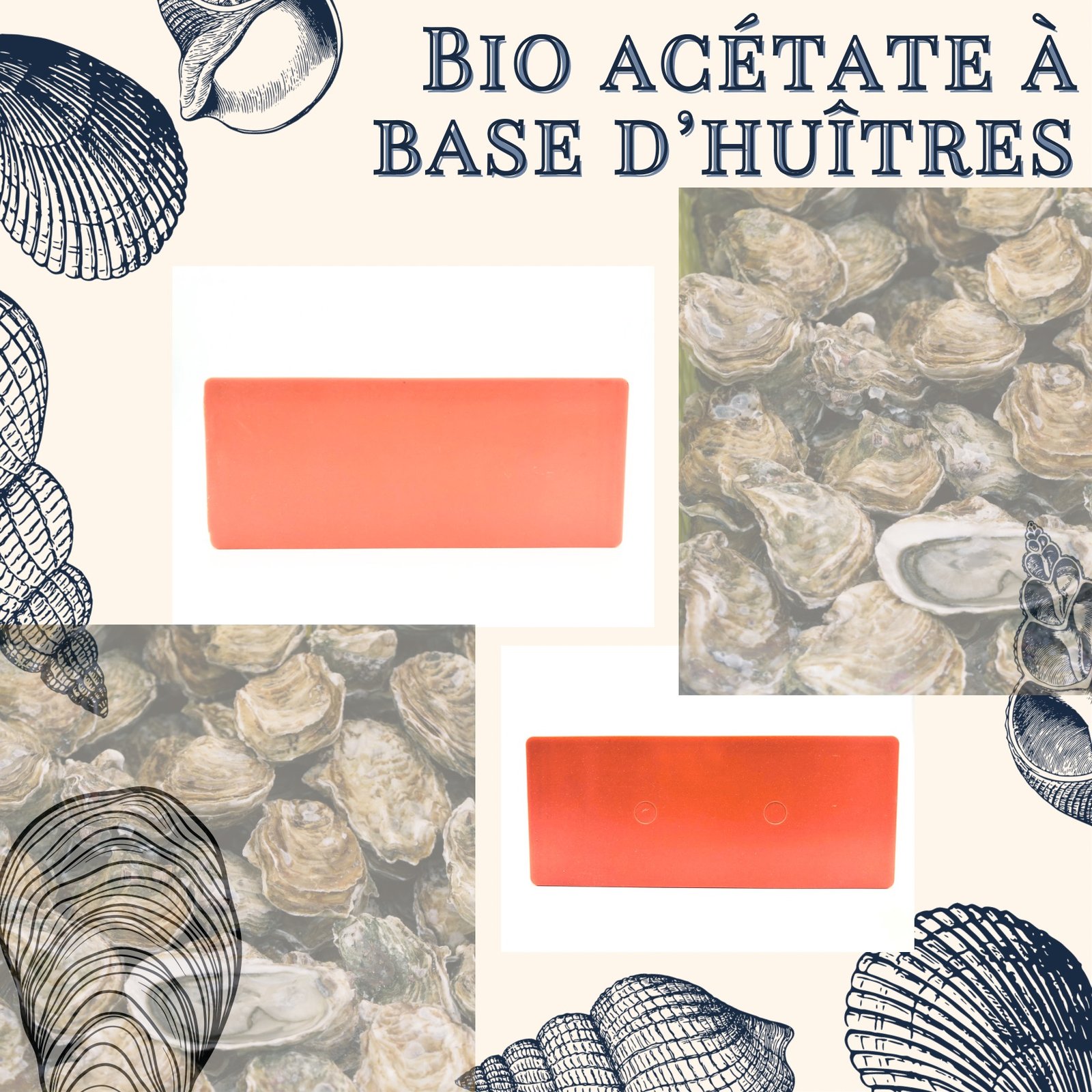 bio acétate france organique coquillage